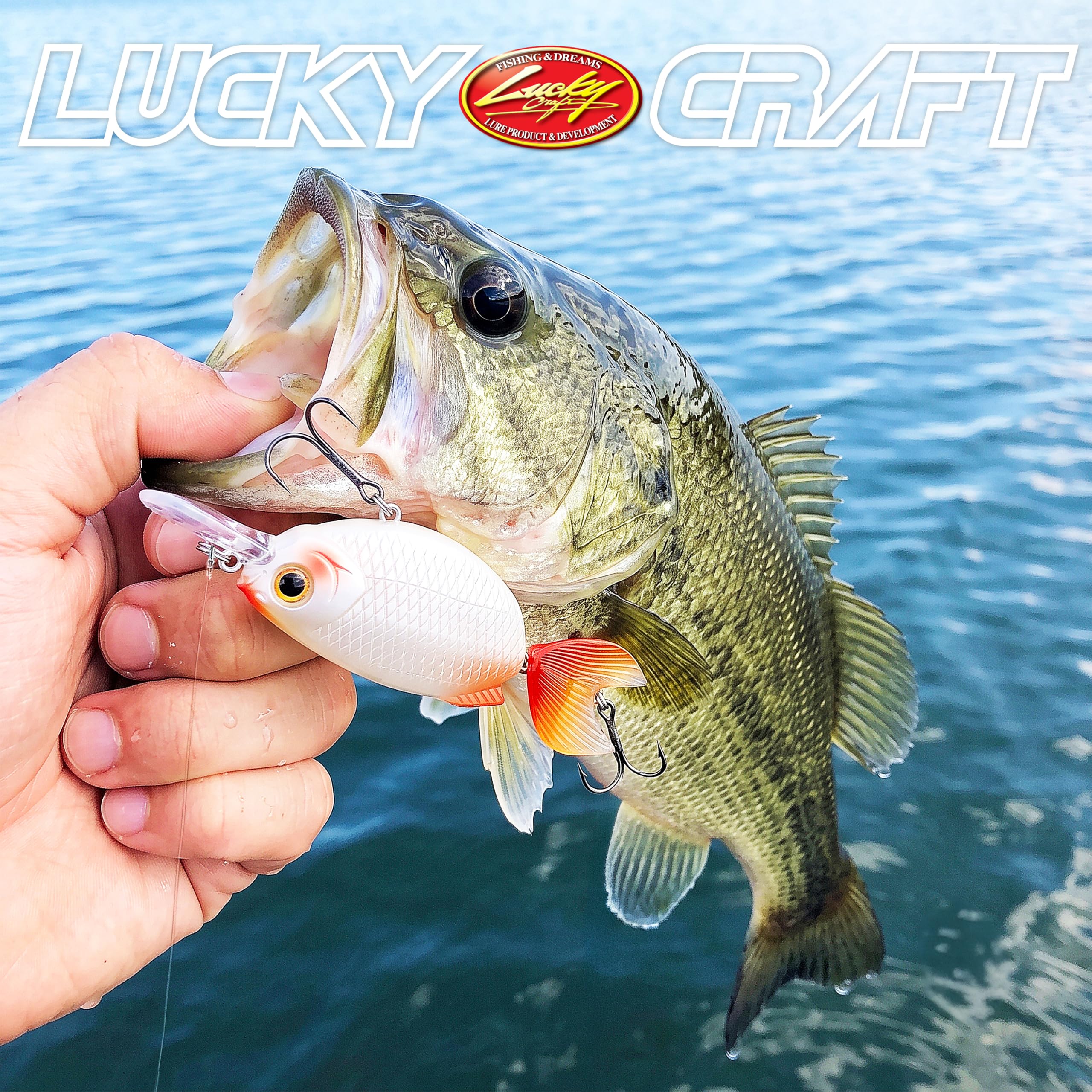 Amazon.co.jp: ラッキークラフト(LUCKY CRAFT)金魚・姉金60F